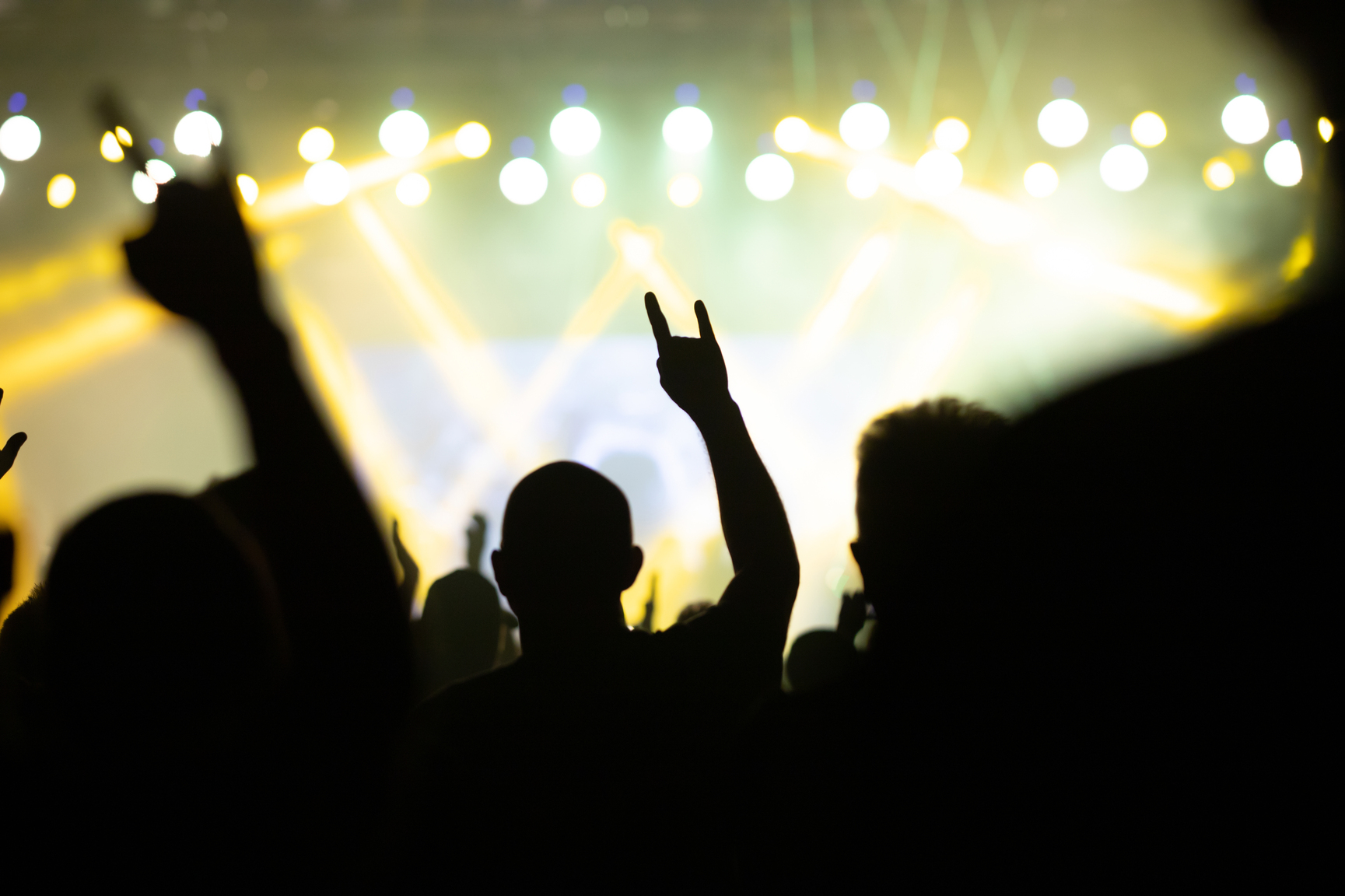 koncert rockowy