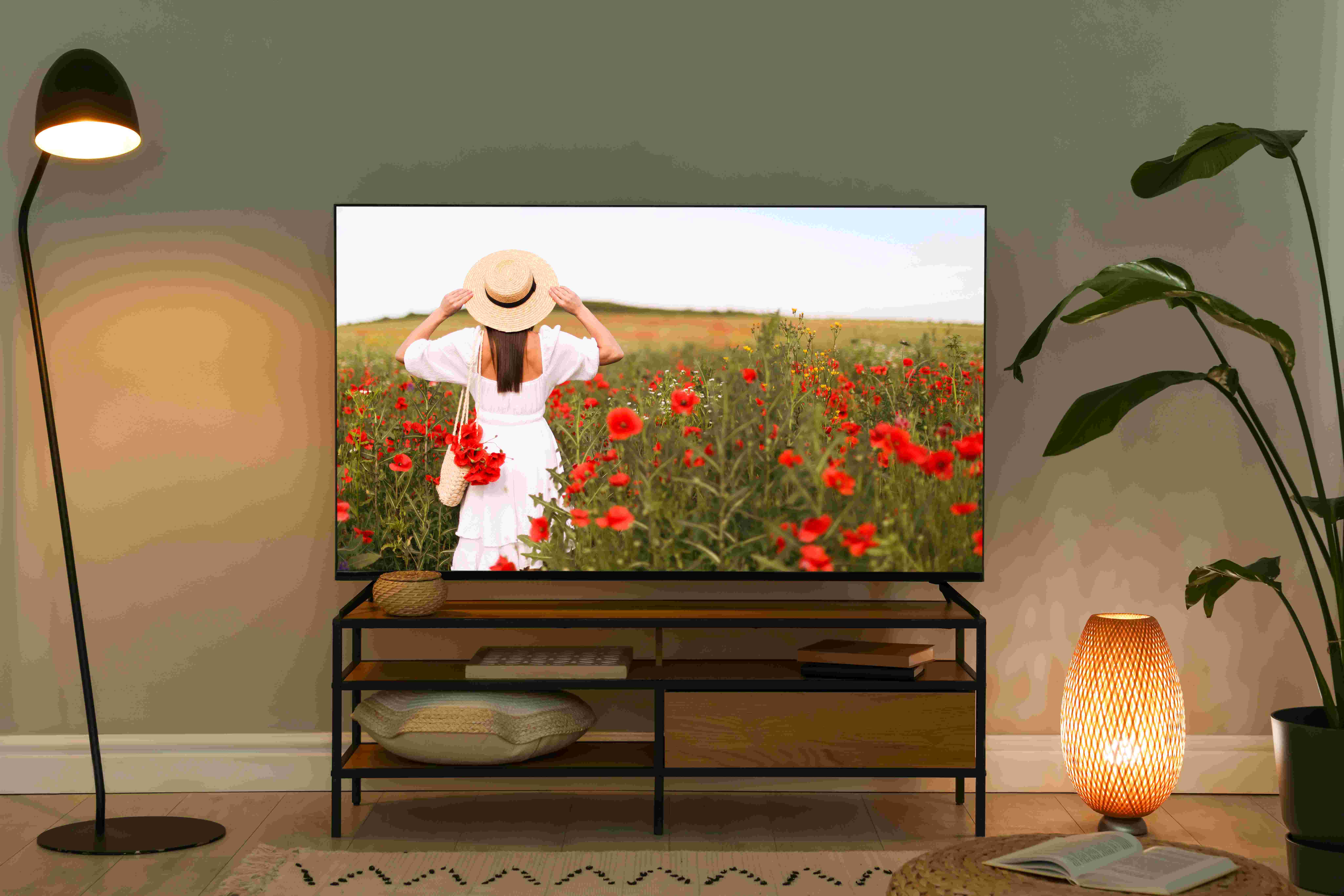 tv