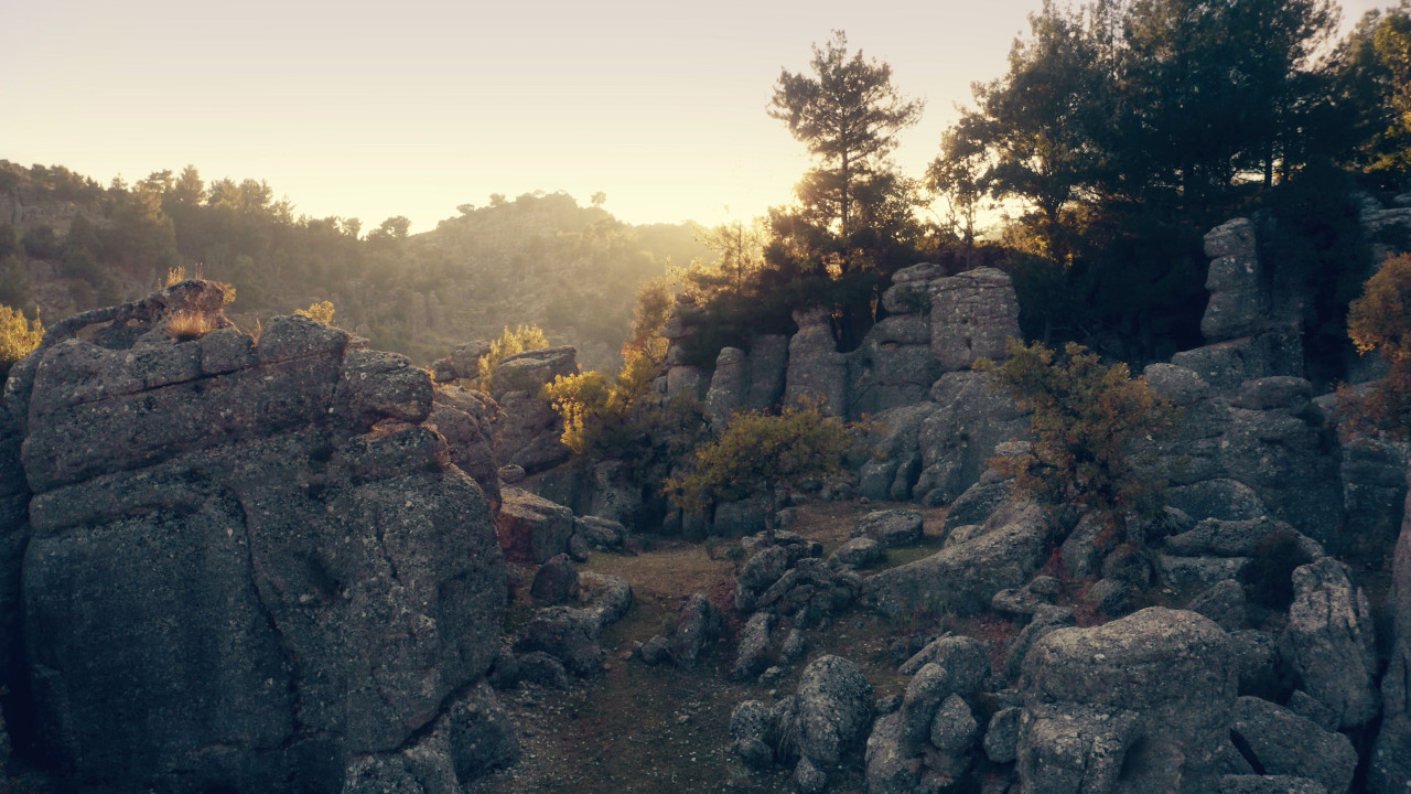 Tajemnicza aktualizacja Baldur’s Gate 3: gracze zachwyceni!