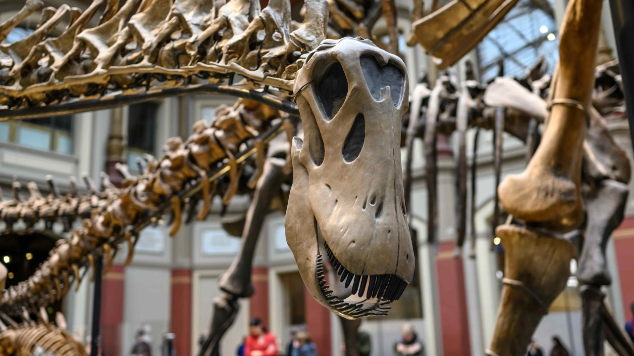 Odtworzenie Gniazda Dinozaura: Klucz do Tajemnicy sprzed 70 Milionów Lat