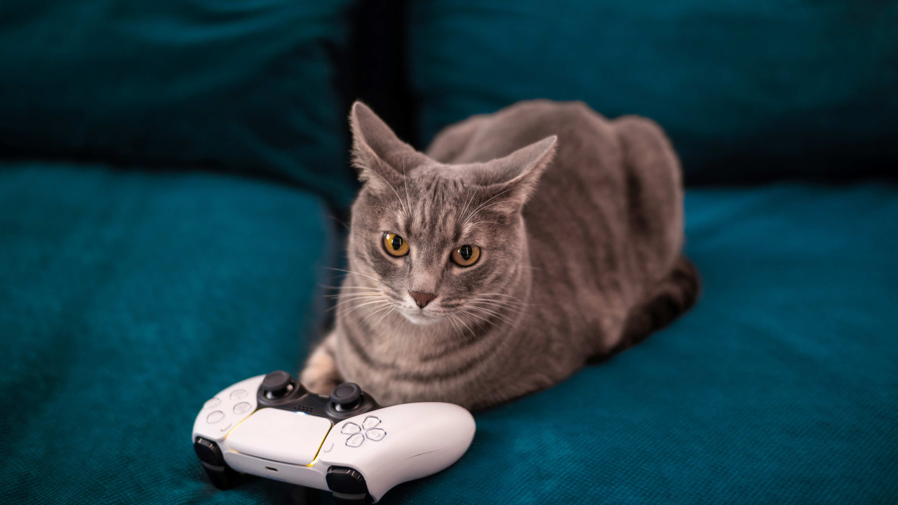 PlayStation 5 droższe w Polsce od kwietnia 2026: nowe ceny ujawnione