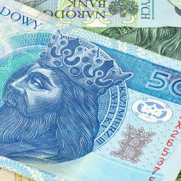 215 zł miesięcznie bez względu na dochód. Wystarczy jeden dokument
