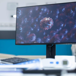 monitor