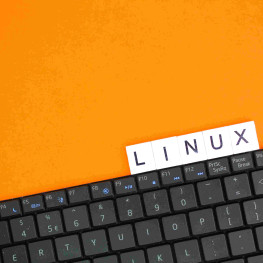 Ilustracja do artykułu: Linux wprowadza wsparcie dla gier z Androida dzięki projektowi Lepton