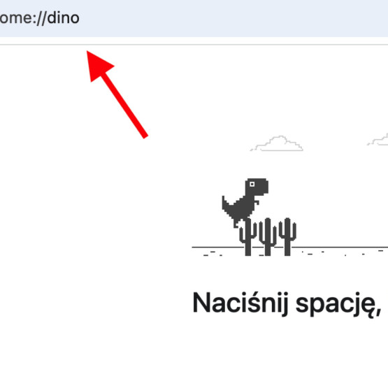 Włączanie gry Dino w Chrome