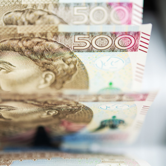 Polskie banknoty