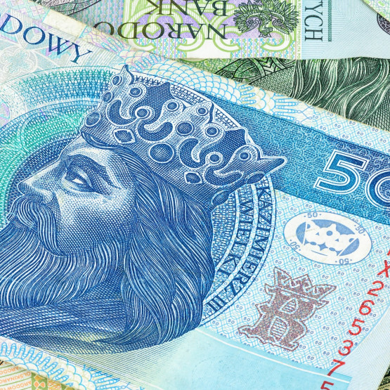 Polskie banknoty