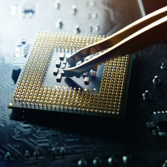 Chip