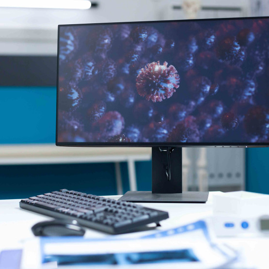monitor